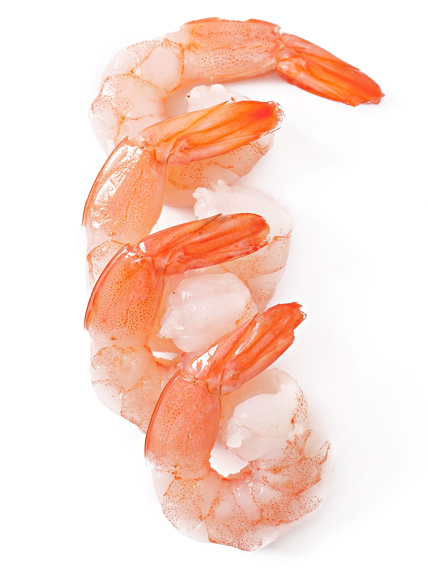 shrimp service
